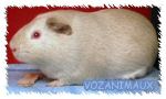 race_lisse07.jpg