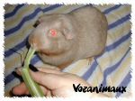 race_lisse08.jpg